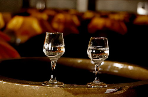 別錯過！3款好喝不貴的平民糧食酒，遇到多買幾箱